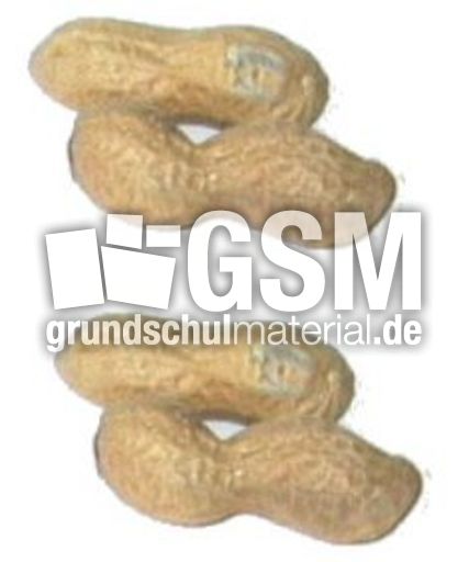Erdnüsse-2x2.jpg